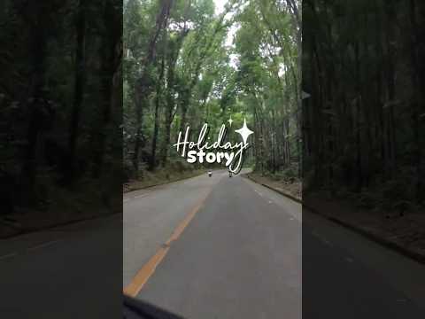 A Glimpse of BOHOL Escapades ❤️ I MAN-MADE Forest #shortsfeed  #travel