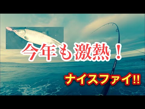 【鮭釣り】激熱2020 オホーツクサーモンに乾杯！ 一の巻き