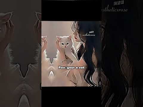Pov: your a cat #aesthetic #edit #subscribe