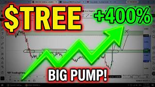 $TREE BIG PUMP 🔥 TREEHOUSE #tree #treehouse #crypto