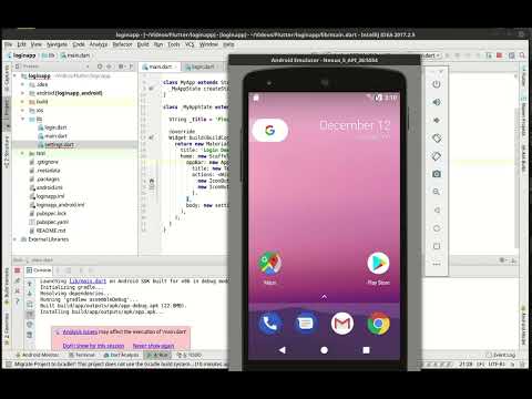 EXPERTS Reveal Flutter Login App Secrets