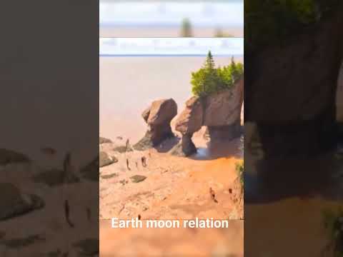 Earth moon relation #earth #moon#trending#solarsystem#beach