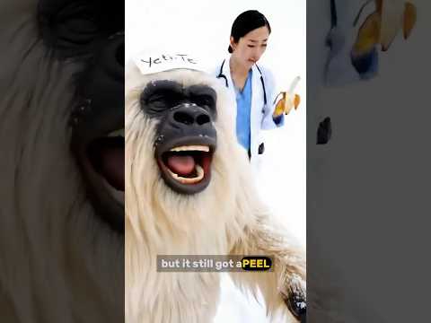 Bigfoot and Yeti | Joke Part 2 -  With Human 😂🎤 #yeti #bigfoot #vlog
