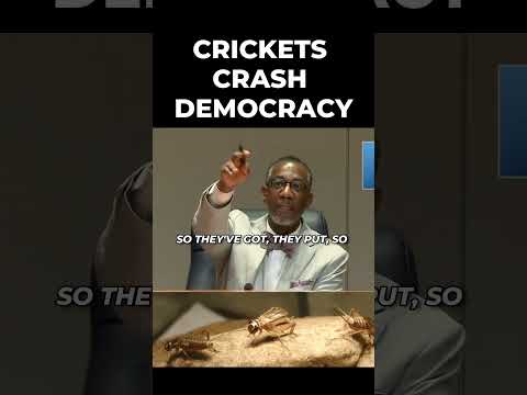 Protesters Cross Line #icma #localgov #leadership #governance #nlc  #citymanager #crickets #protest