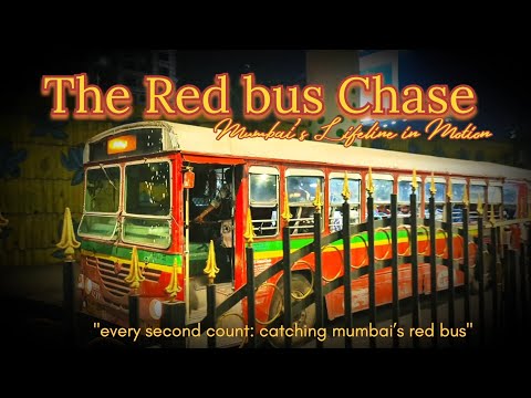 Mumbai’s Lifeline: The Red Bus Hustle That Moves a City