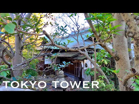 4K Japan Walk - Tea Room near the Tokyo Tower !!!