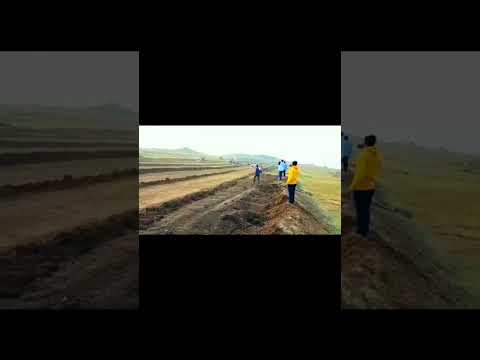 बैल गाड़ी पट स्टेटस#status #शेतकरीबैलबाजार