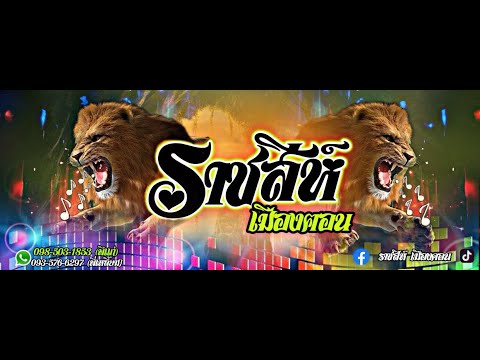ใหม่ล่าสุด!!จังหวะรำวง สามช่าร่วมสมัย | วงราชสีห์ เมืองฅอน นครศรีธรรมราช