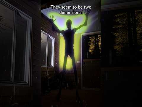 Have You Ever Seen A Living Stick Figure Cryptid? | Black Stickmen #paranormal #funfacts #scary