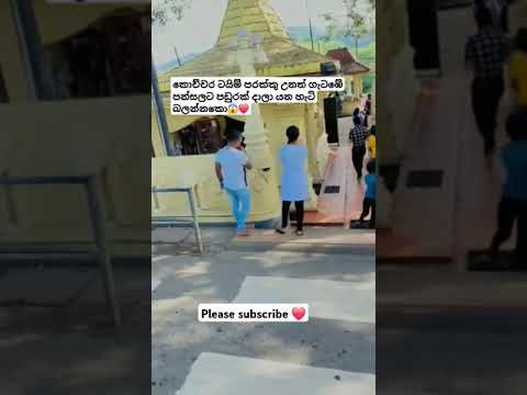 ගැටඹේ පන්සලට පඩුරු දානවා😱❤️#automobile #1million #dhamrejini #teamsasindu #kasiya_bus_kingdom #bus