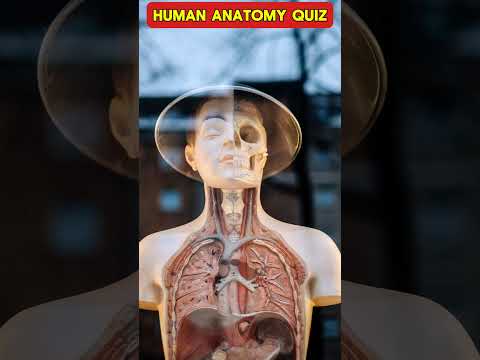 🧠 HUMAN BODY QUIZ: 5 Questions in 60 Seconds! (Can You Ace It?)