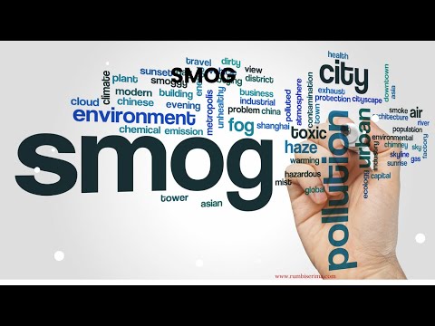 Enemies of the skin: Smog and Environmental Factors