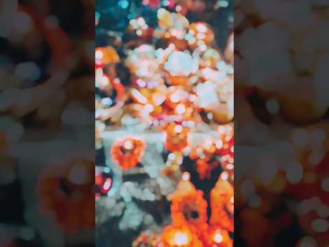 🌞 ugg ho suruj dev ( छठ पूजा स्टेटस वीडियो ) #whatsappstatus #youtubeshorts #trending #song #shorts
