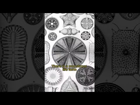Strange Life Form On Earth | Diatoms | Strange facts you never knew P.55 #shorts