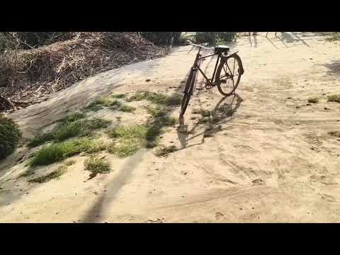 My vlog No 10
