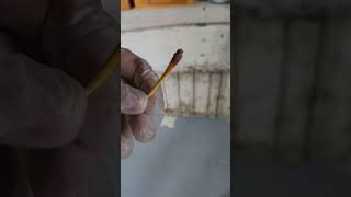 Testing for Lead! Don't skip this step! #furnitureflip
