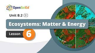 Unit B.2 Lesson 6 Planning Video | OpenSciEd On-Demand Resources