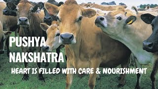 PUSHYA NAKSHATRA - (4 PADAS & REMEDIAL MEASURES)