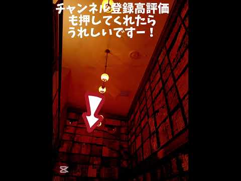 #写真写真も全然初心者です笑