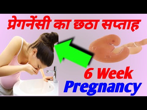 गर्भावस्था का छठा सप्ताह || 6 Week Of Pregnancy ||