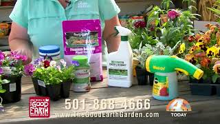 Good Earth Greenhouse Pansy Planting Tips