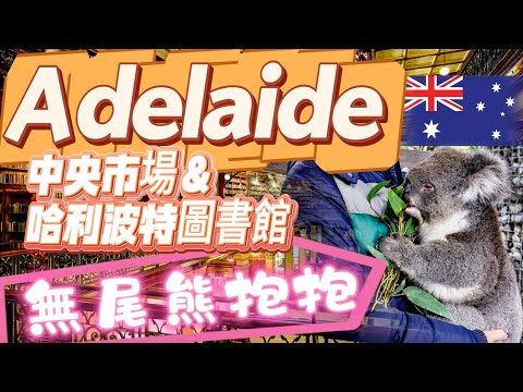 阿德雷得 Adelaide怎麼玩？無尾熊親抱體驗Gorge wildlife park＃哈利波特圖書館State library of SA＃中央市場#Melba's 巧克力工廠＃酒莊