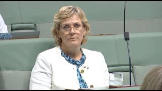 Zali Steggall MP asks the PM about Israel's culpability in the death of Zomi Frankcom