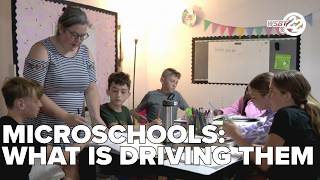 What is driving the microschool movement, what it means for students: Operation Education