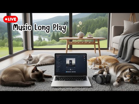 🔴 รวมเพลงรักเพราะๆ คาเฟ่ชิล | Thai Pop R&B Acoustic 2025 |