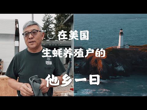 微纪录片 | 在美国 生蚝养殖户的真实一天🦪 A day in the life of a Oyster farmer working in the U.S.