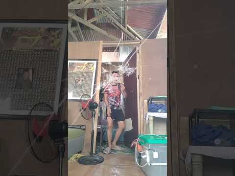 wag kasi mag harang sa daan basag ka tuloy😂😂😂