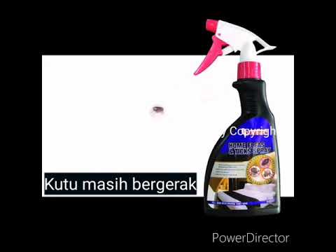 The Best Flea and Tick Kill and Repel