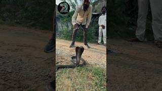 Everyone loves life 🥹❤️#trending #short #viral #pag #youtubeshorts #animalrescue#help #pain #cobra
