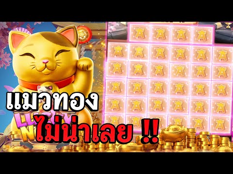 Lucky Neko : สล็อตpg สล็อตแมวทอง ไม่น่าเลย !! สล็อตแตกง่าย
