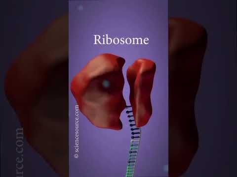 #neetbiology #biology #medicaleducation #subscribemychannel