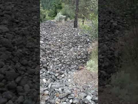 My #1 Gold Indicator When Looking for Gold