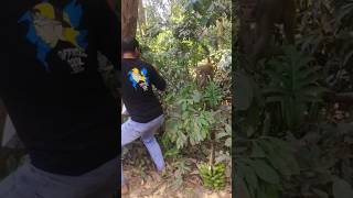 Funny moments#viralshort #funny#monkeyfunnyshort #shortsreels#shorts#animals #foryou#enjoy 🐒😆😆
