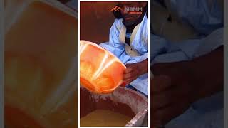 Mauritania Gold Mining Expedition