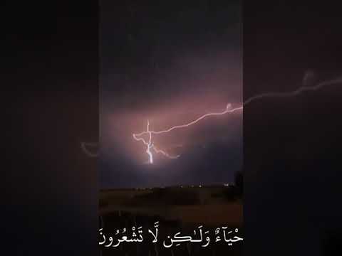 محمد الليحدان، واستعينو بالصبر والصلاه #video #viral #youtube #shorts#comedy#tutorial#vlog#howto
