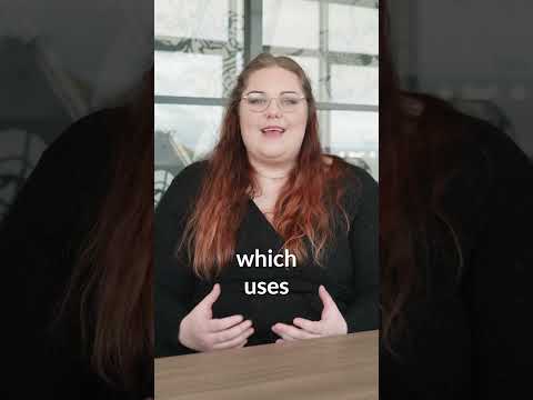 A.I Insights with Charlotte | Blue Frontier