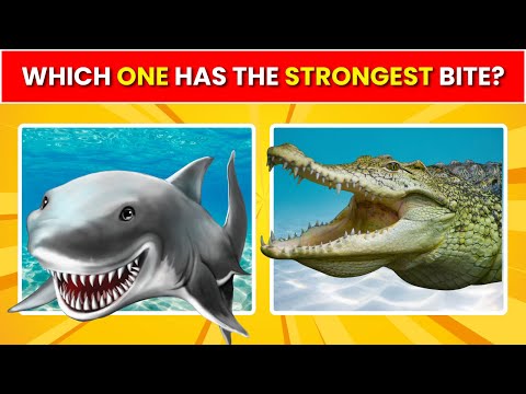 🐯 Amazing Animal Quiz | Test Your Wildlife Knowledge🦁 Ultimate Animal Quiz | Can You Guess Them All.
