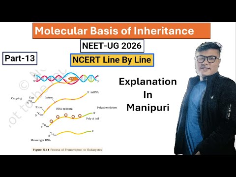 Molecular Basis of Inheritance and Variation || Part- 13  || NEET UG #ncert #neet #latestnews