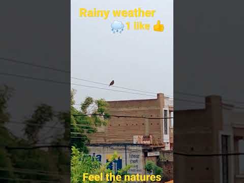 #natures beutey##feel the nature##shortvideo#