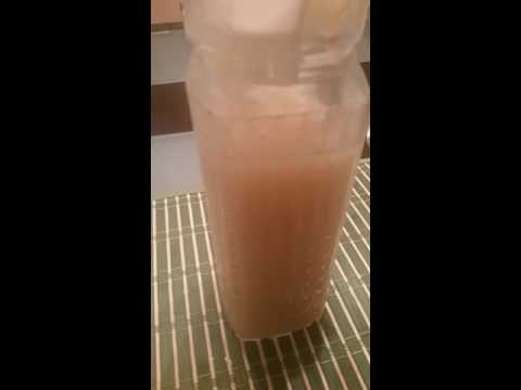 The Benefits of Irish Sea Moss are many