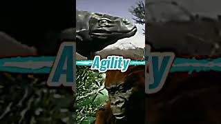 Megalania vs Gigantopithecus (Remake) #Megalania #Gigantopithecus #HereWeGo
