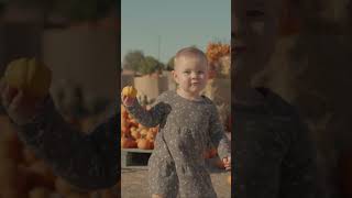 She found the smallest pumpkin in the patch #pumpkinpatch #fall #family