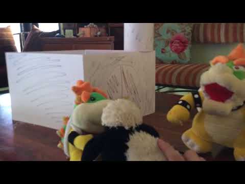 shane`s mini adventure bowser jr