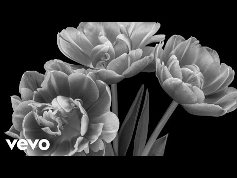 Cynthia Erivo - You’re Not Here (Visualizer)