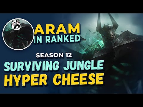 How to ARAM in Ranked | The Hard Road to Diamond as a Gold Player