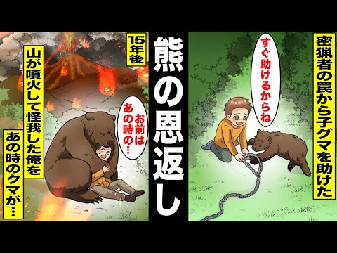 【漫画】密猟者の罠にかかり傷だらけになっていたボロボロの子グマを救った少年…15年後、登山中に山が噴火して噴石で負傷して身動きが取れなくなっていたらあの時のクマが現れて・・・